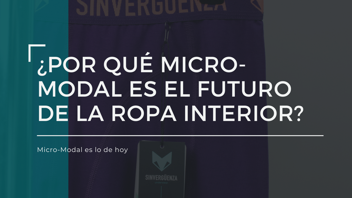 ¿Por qué Micro-Modal es el futuro de la ropa interior?