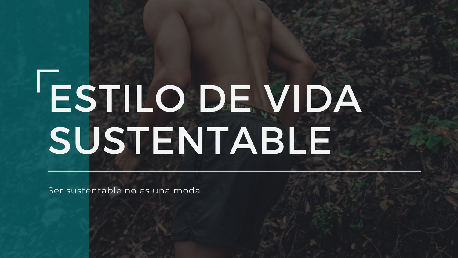 4 formas para tener un estilo de vida sustentable y eco-friendly