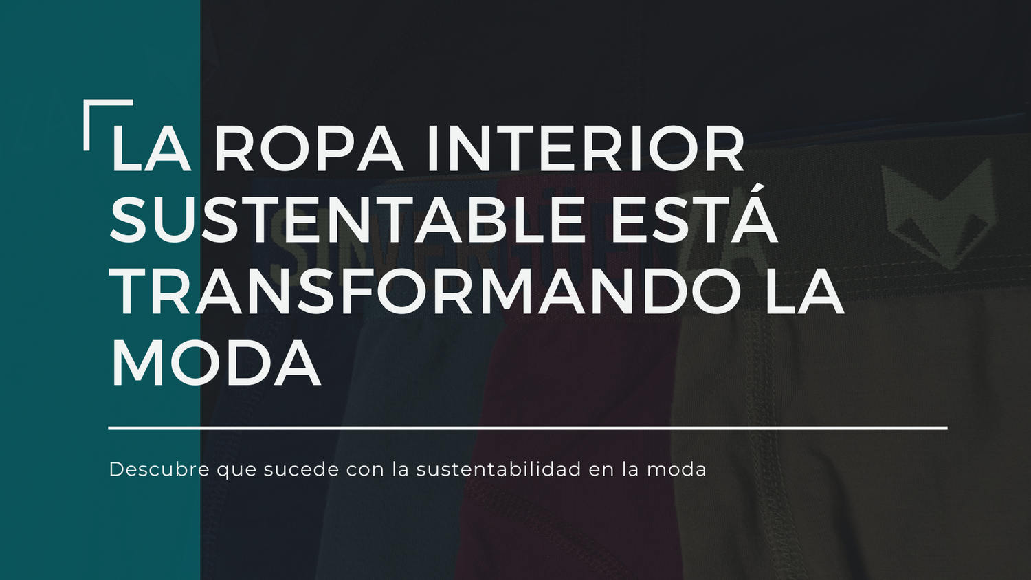 La ropa interior sustentable está transformando la moda