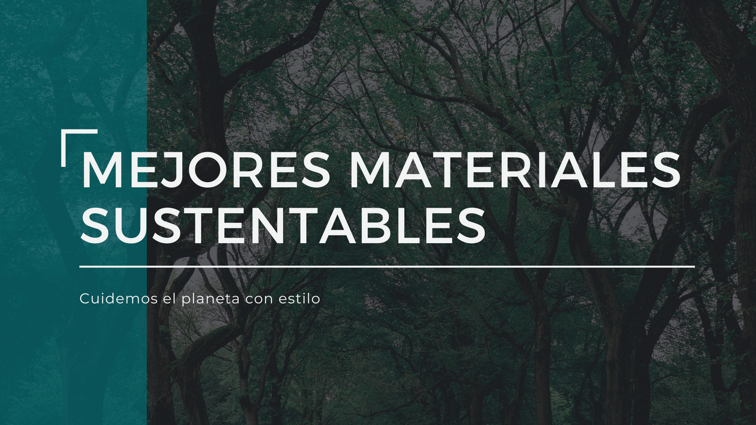 Los 5 materiales para ropa más sustentables y ecológicos