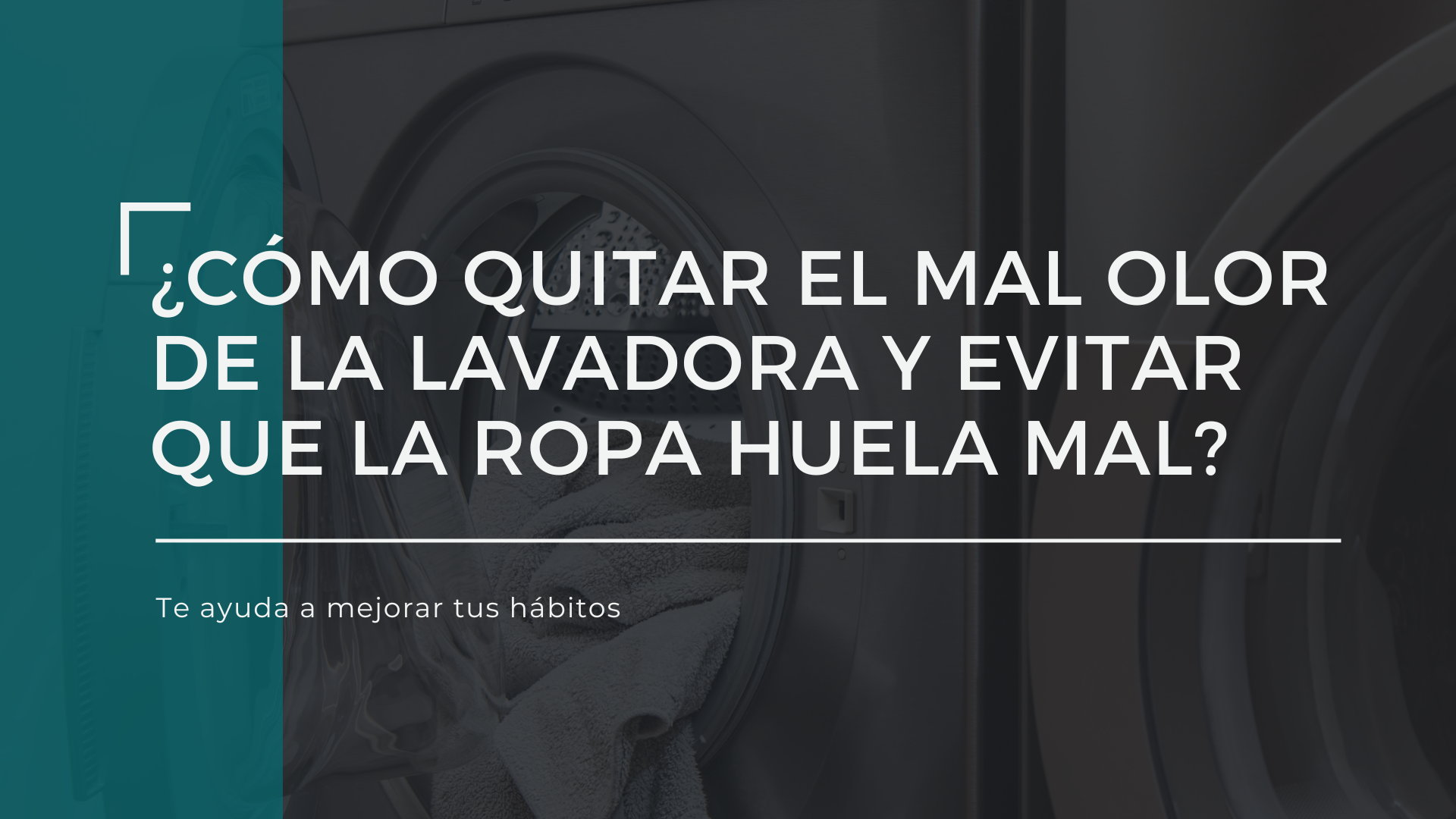 ¿Cómo quitar el mal olor de la lavadora y evitar que la ropa huela mal?