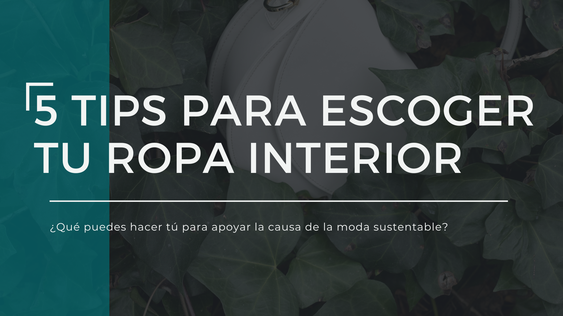 5 Tips para escoger tu ropa interior