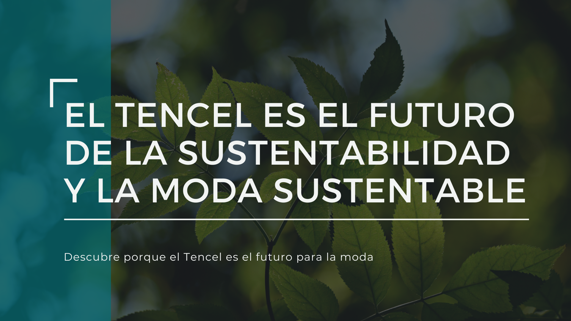 ¿Por qué el Tencel es el futuro de la sustentabilidad y la moda sustentable?