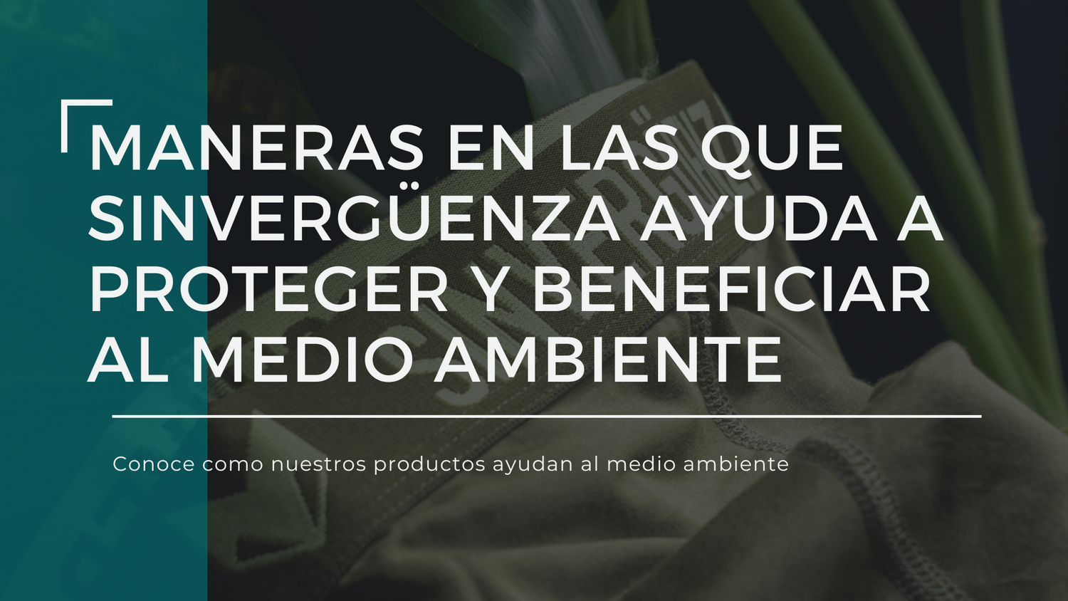 Sinvergüenza y el medio ambiente