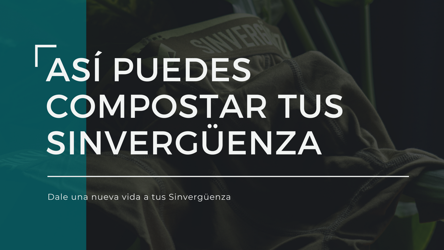 Así puedes compostar tus Sinvergüenza