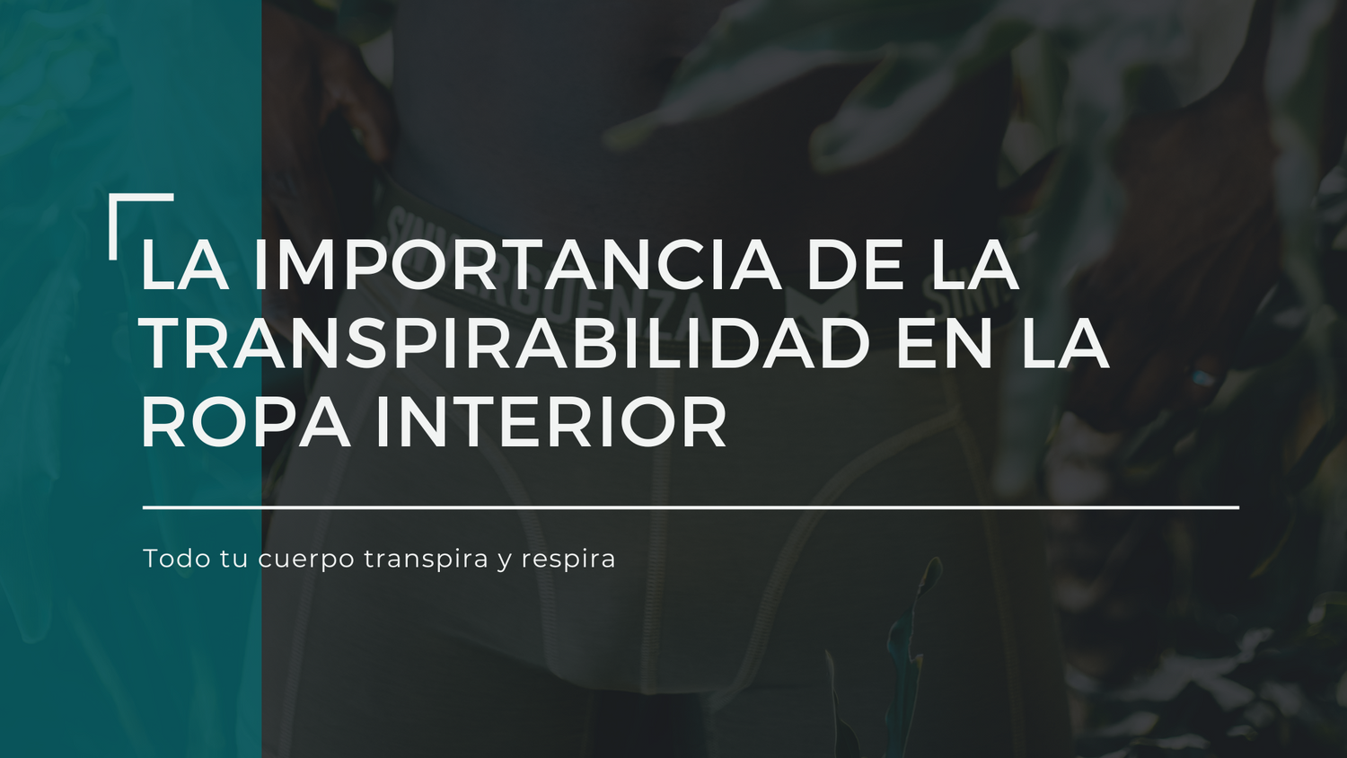 La importancia de la transpirabilidad en la ropa interior