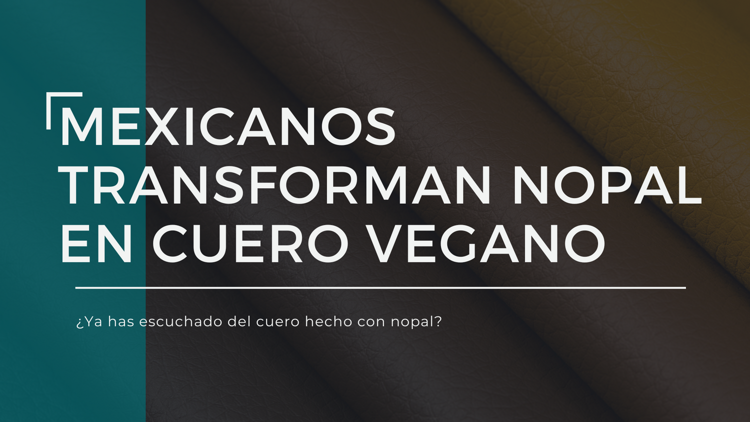 Mexicanos transforman nopal en cuero vegano